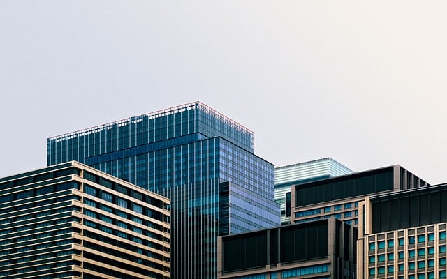 找柠檬云财务软件从哪下载最靠谱？我来聊聊
